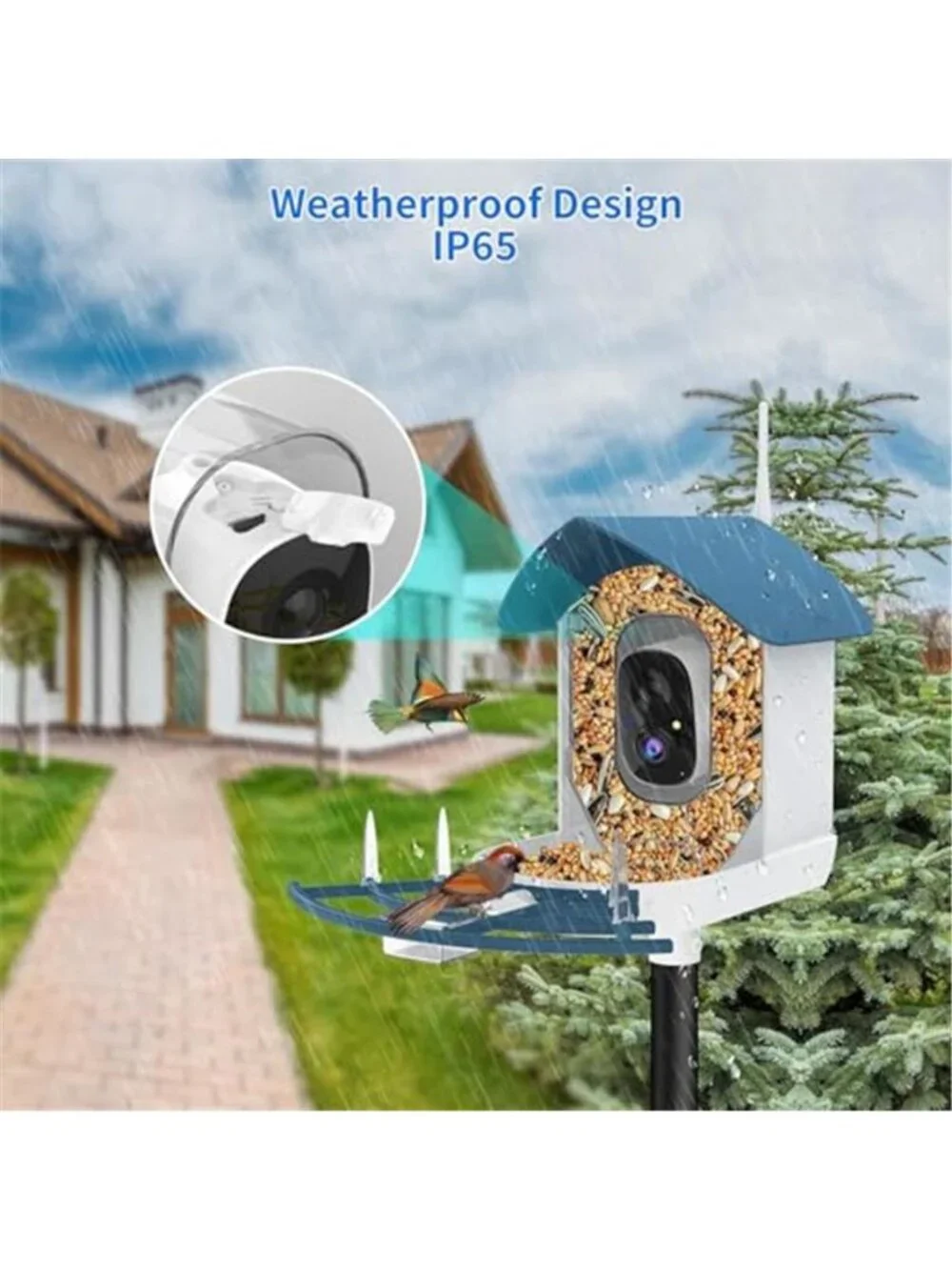 Bird Feeder with Camera,AI Identify Birds Species,Smart Bird Camera with Solar
